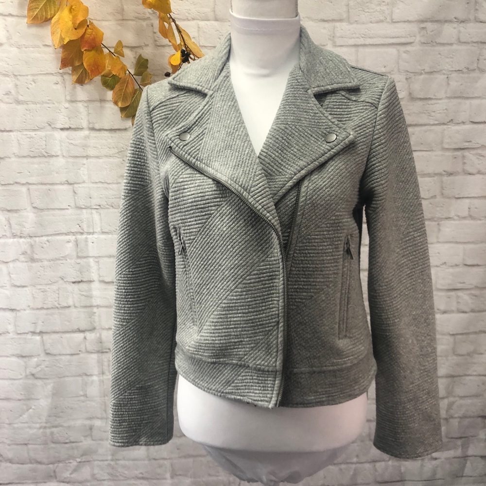 Cupcakes & Cashmere Gray Moto Jacket Size M